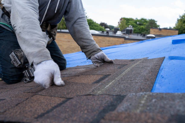 Best Roof Gutter Cleaning  in Mazon, IL