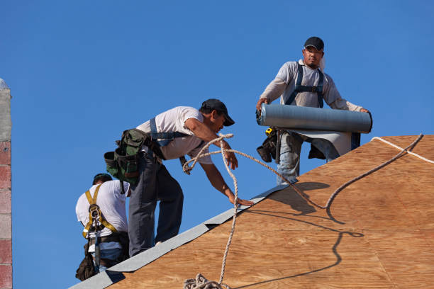 Best Roof Gutter Cleaning  in Mazon, IL