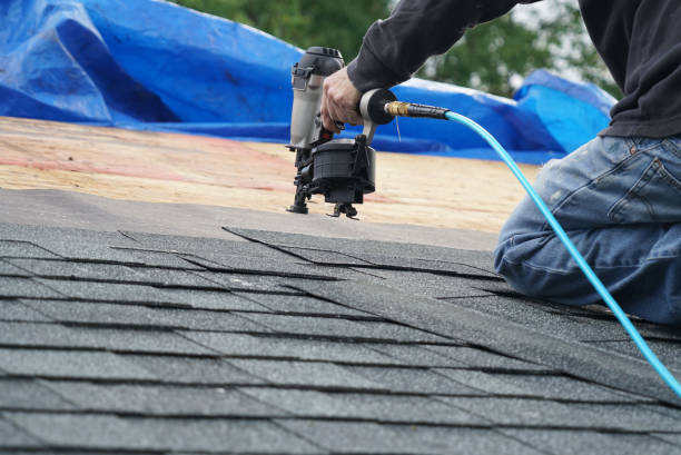Best Flat Roof Repair Services  in Mazon, IL