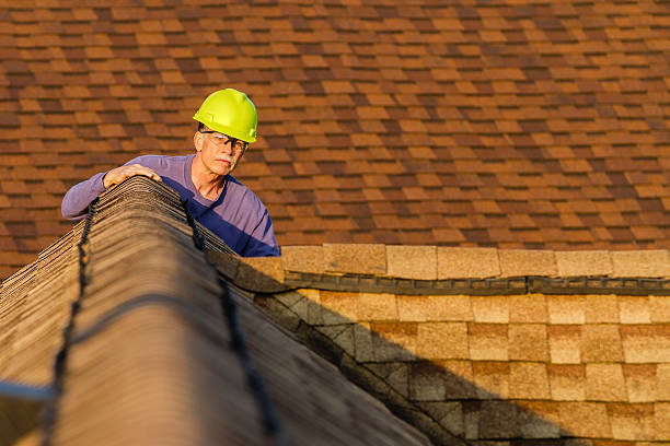 Best Roof Inspection Near Me  in Mazon, IL